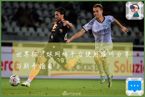 世界杯买球网络平台使用技巧分享与新手指南