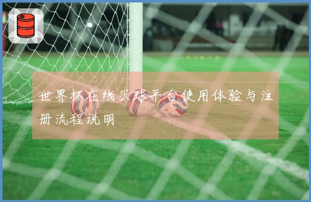世界杯在线买球平台使用体验与注册流程说明