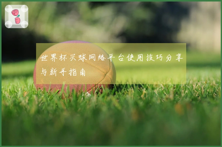 世界杯买球网络平台使用技巧分享与新手指南