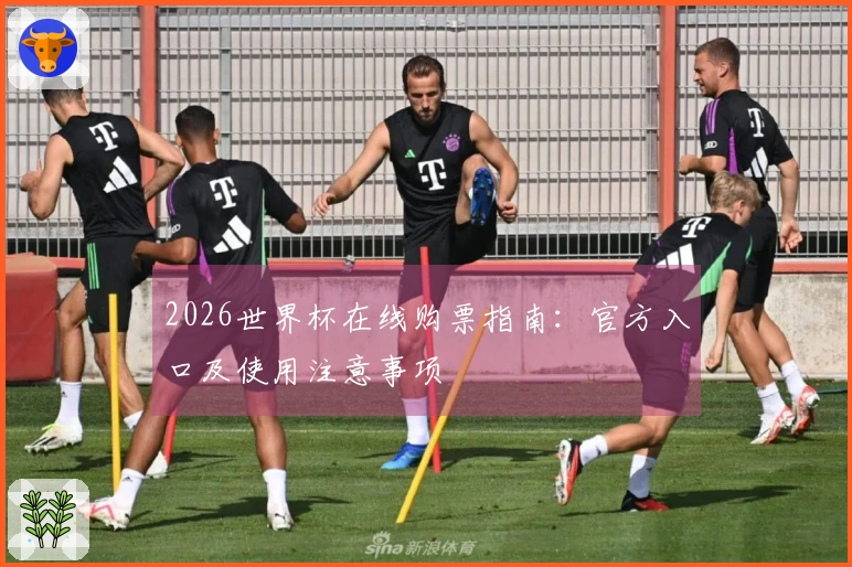 2026世界杯在线购票指南：官方入口及使用注意事项