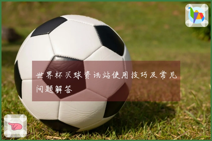 世界杯买球资讯站使用技巧及常见问题解答