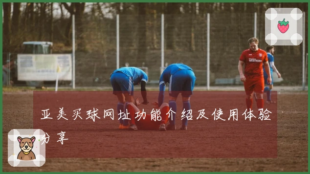 亚美买球网址功能介绍及使用体验分享