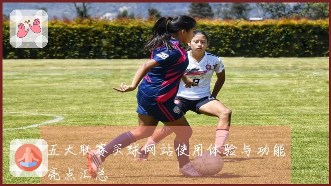 五大联赛买球网站使用体验与功能亮点汇总