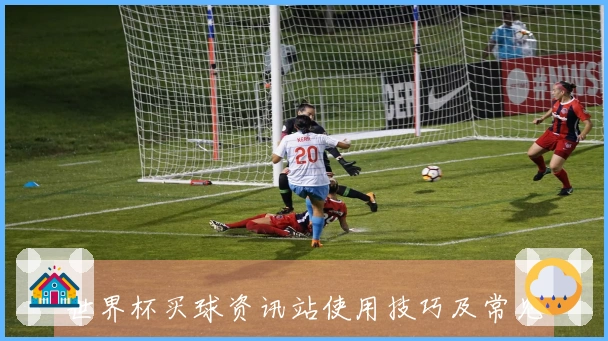 世界杯买球资讯站使用技巧及常见问题解答