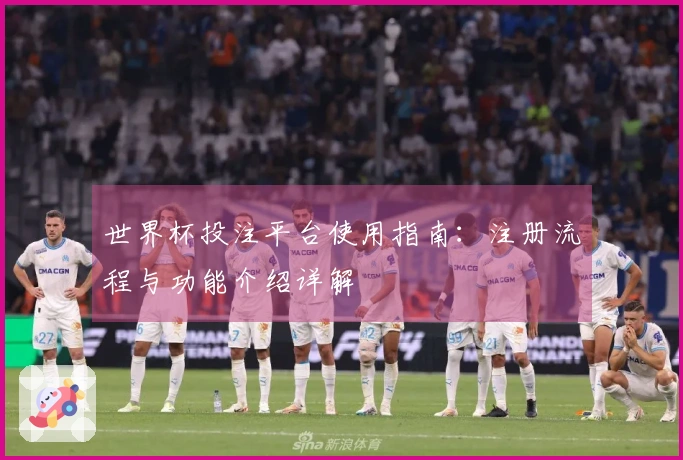 世界杯投注平台使用指南：注册流程与功能介绍详解