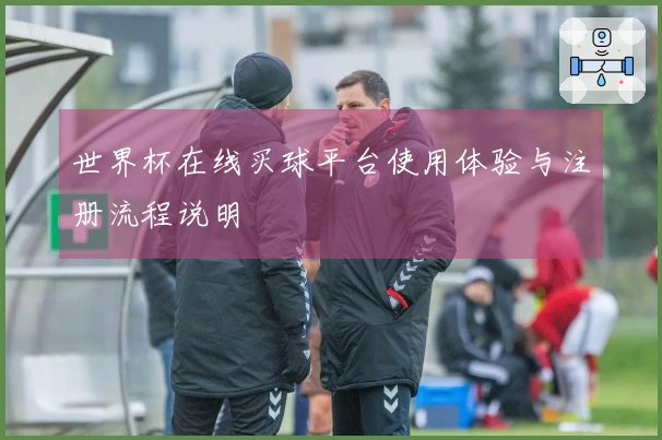 世界杯在线买球平台使用体验与注册流程说明